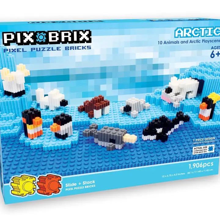 Arctic Pix Brix Set