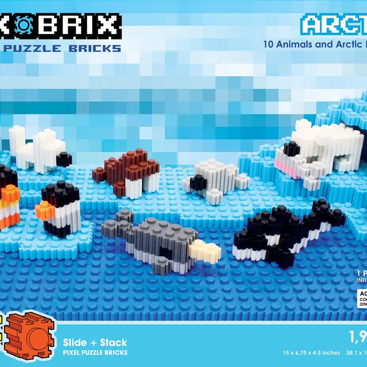 Arctic Pix Brix Set