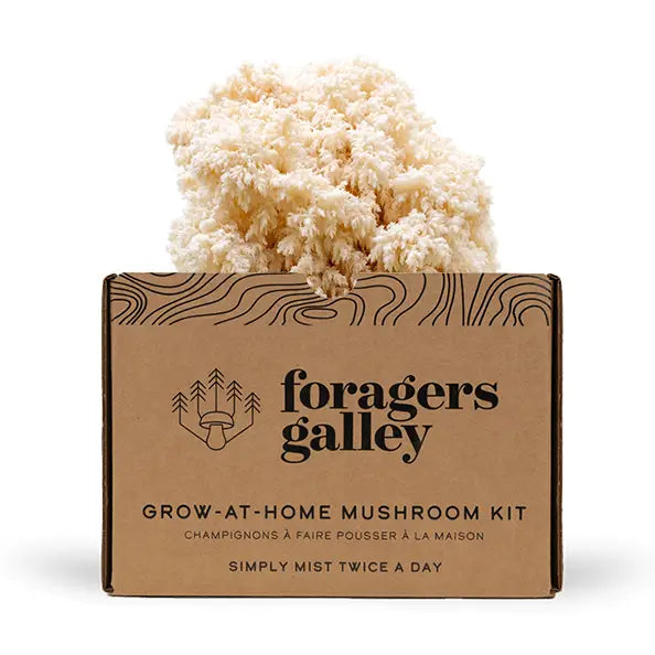 Bear's Tooth Mushroom Grow Kit