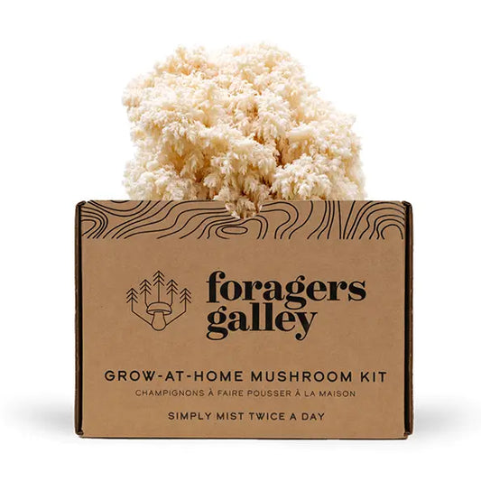 Bear's Tooth Mushroom Grow Kit