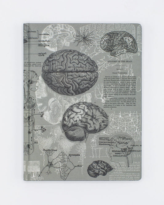Brain Anatomy Hardcover