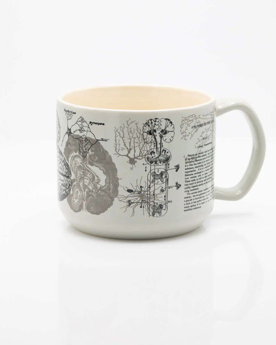 Brain Anatomy Mug