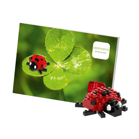 Brixies Ladybug Postcard