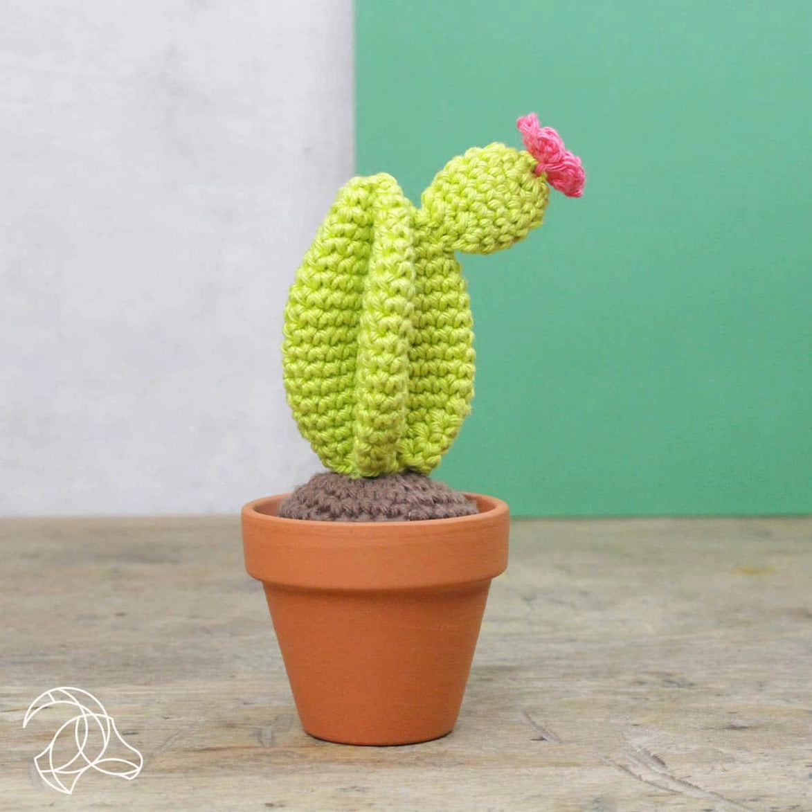 Cacti DIY Crochet Kit