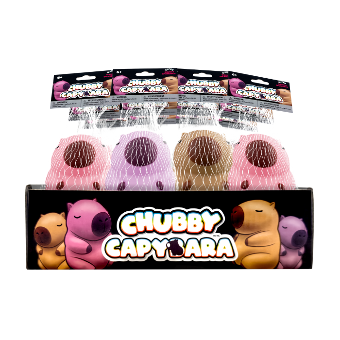Chubby Capybara Assorted