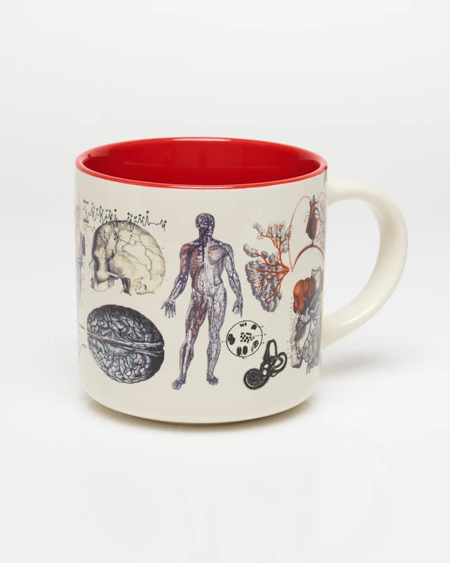 Vascular Anatomy Mug 15oz