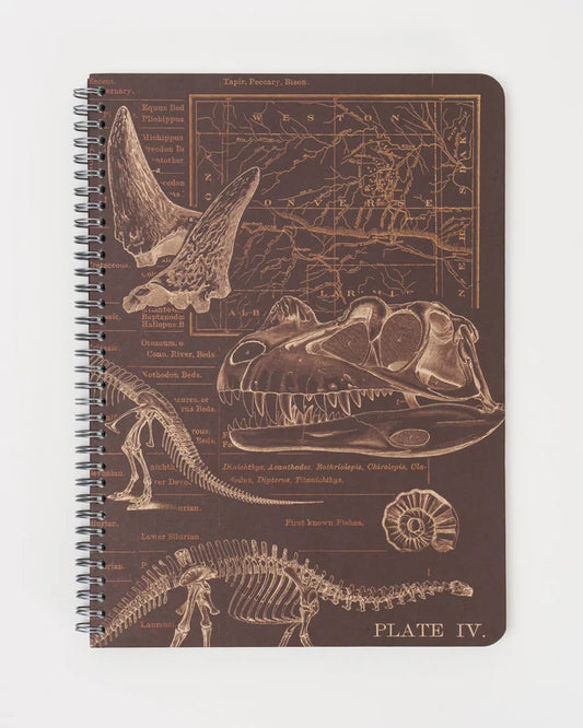Dino Bones Spiral Notebook A5