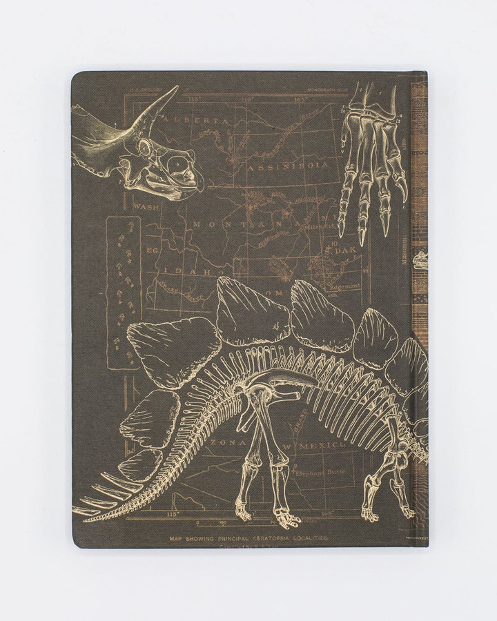 Paleontology Hardcover DOTGRID