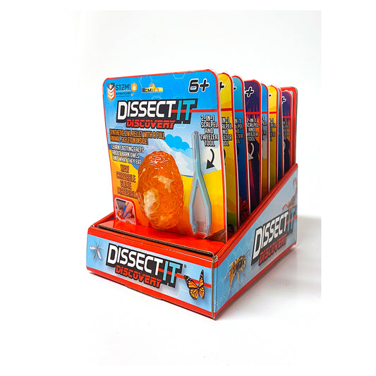 Dissect It Discover Asstorted