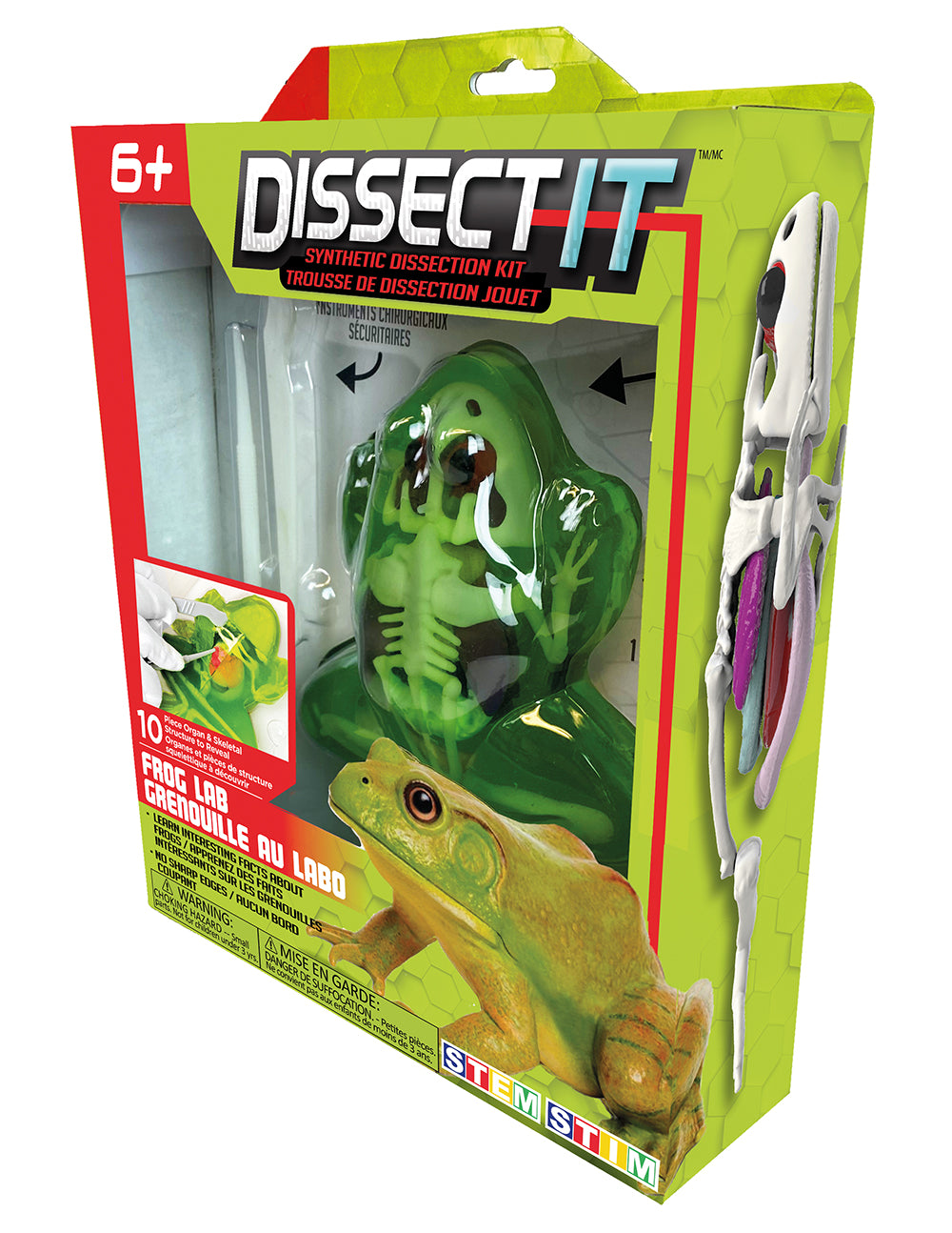 Dissect It Frog