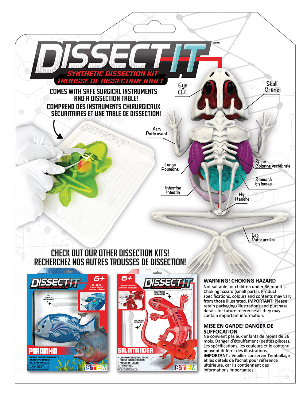 Dissect It Frog