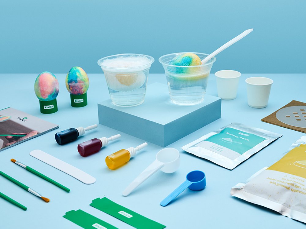 Eggsperiments DIY Egg Kit