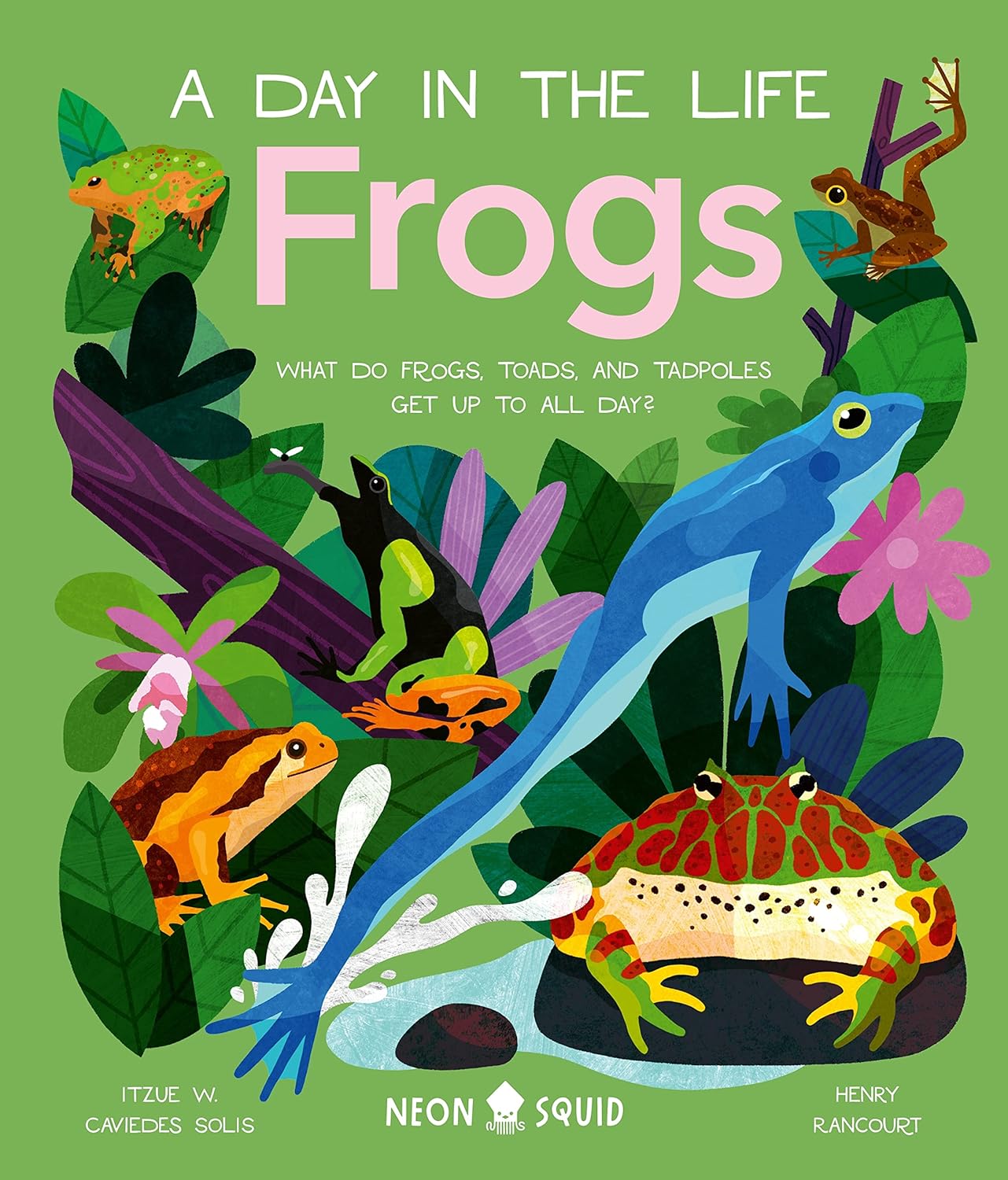 Day in the Life of Frogs