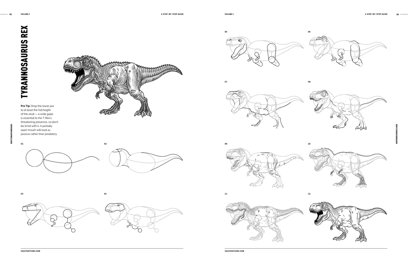 How to Draw Dinosaurs