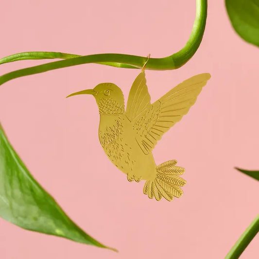 Hummingbird Plant Animal