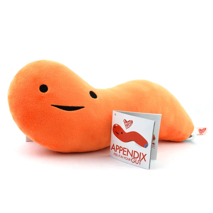 Appendix Stuffed Anatomy