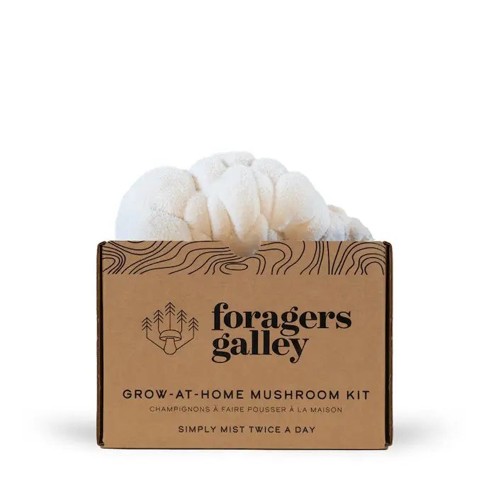 Lion's Mane Mushroom Grow Kit