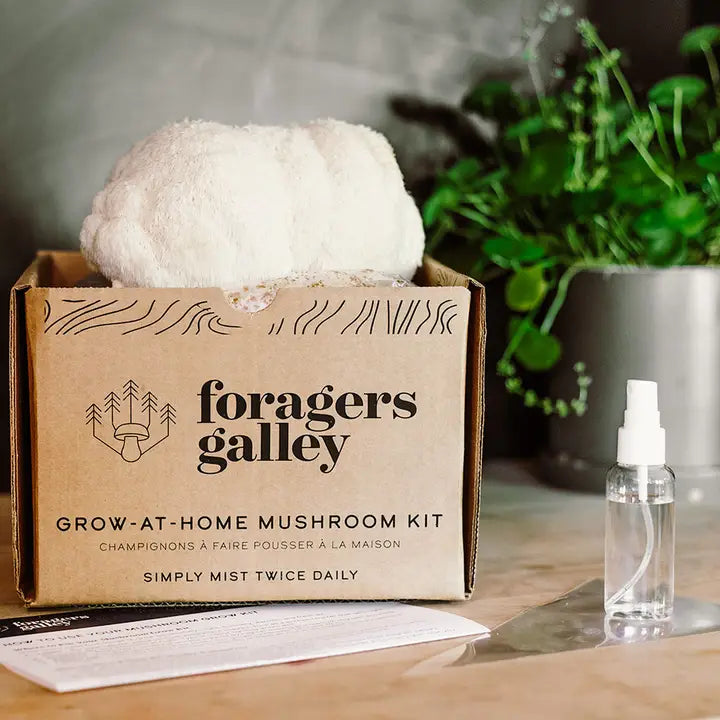 Lion's Mane Mushroom Grow Kit