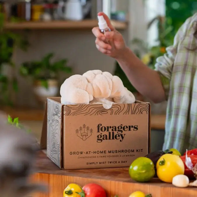 Lion's Mane Mushroom Grow Kit
