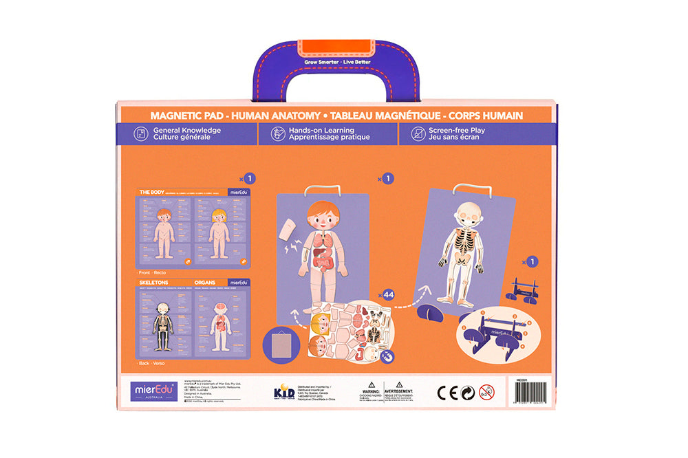 Magnetic Pad Human Anatomy