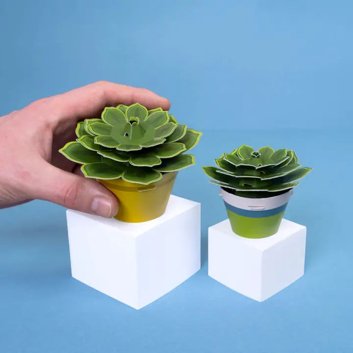 Make Your Own Paper Succulent