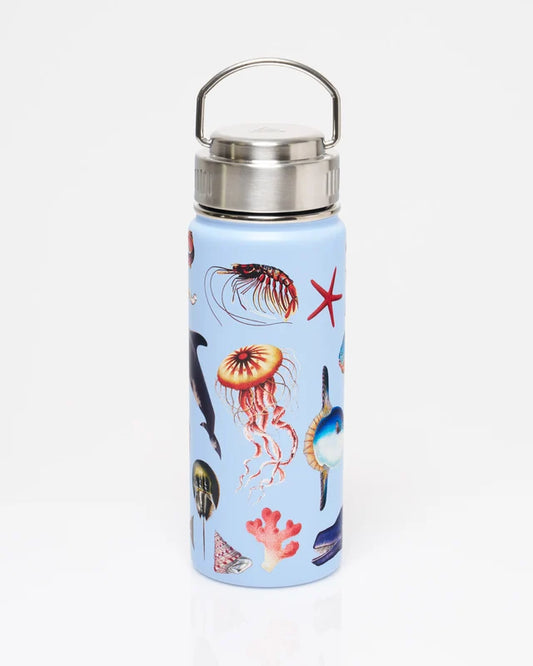 Marine Zoology 18 oz Bottle