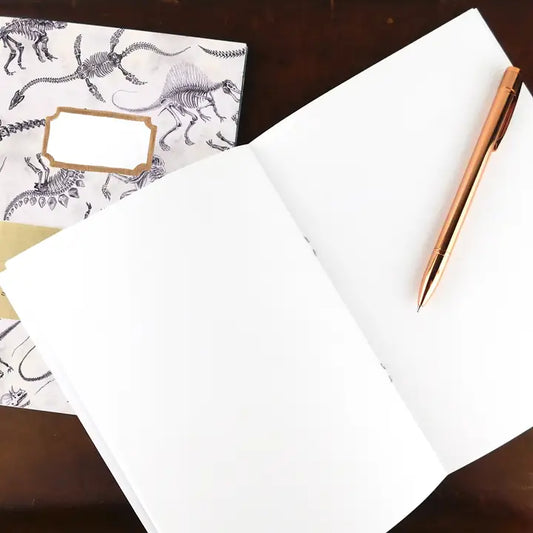 Mesozoic Dinosaur A5 Notebook