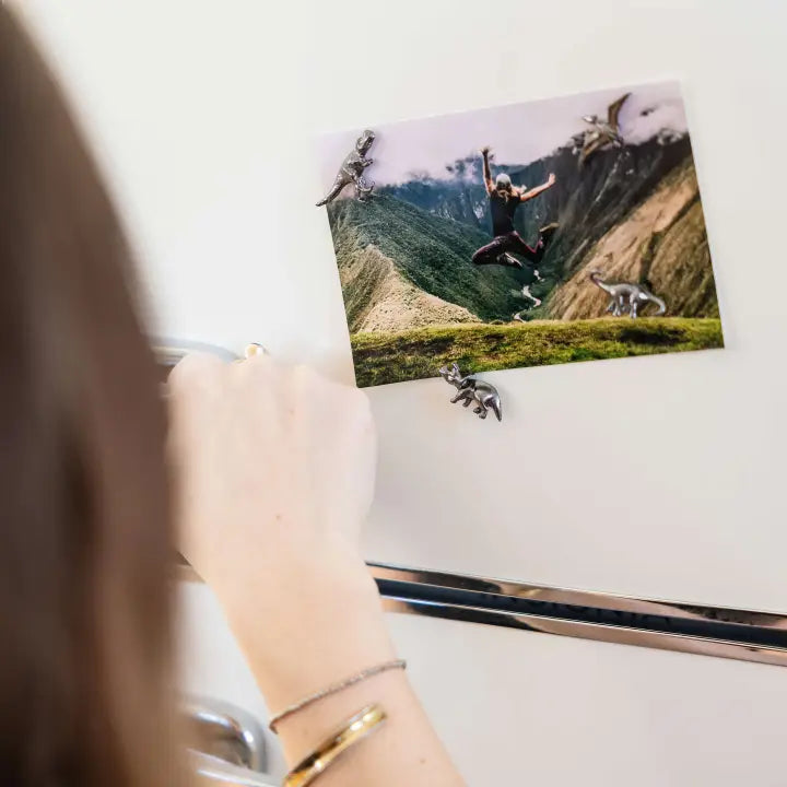 Metal Dinosaur Magnets