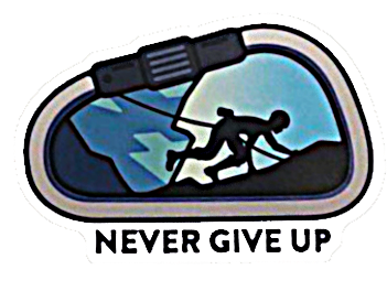 Never Give Up Sticker