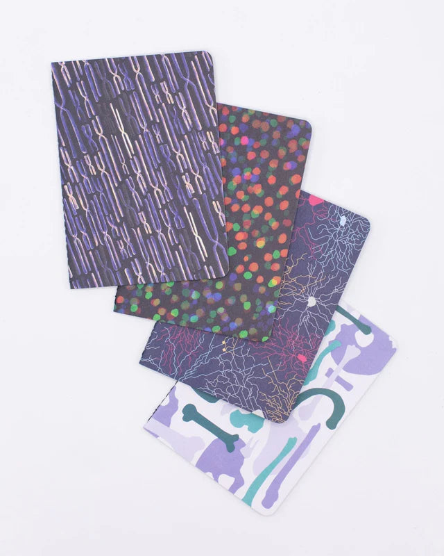 Physician Research 4pack – TELUS Spark Store