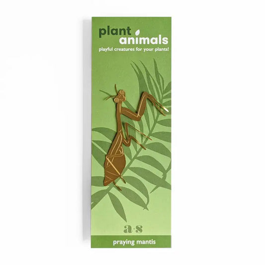 Praying Mantis Plant Animal