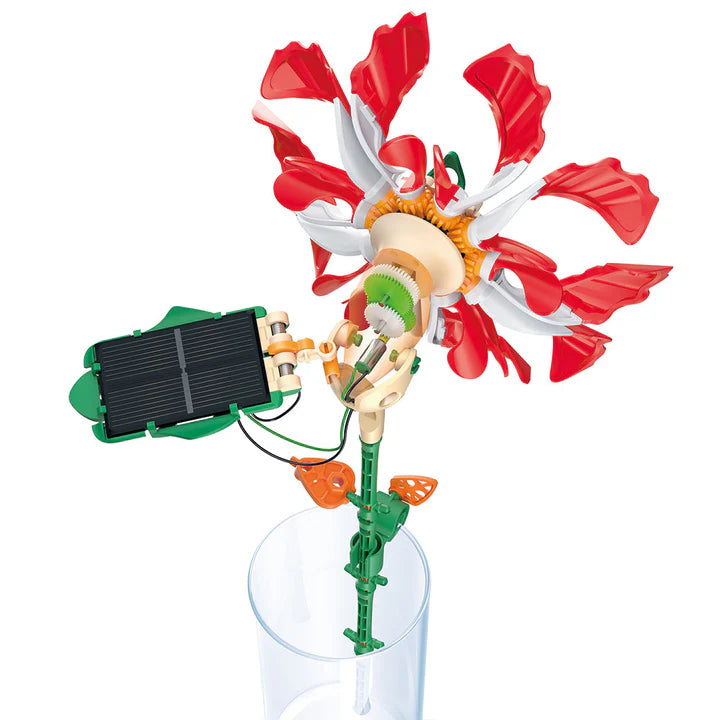 Ruby Ripple Solar Flower