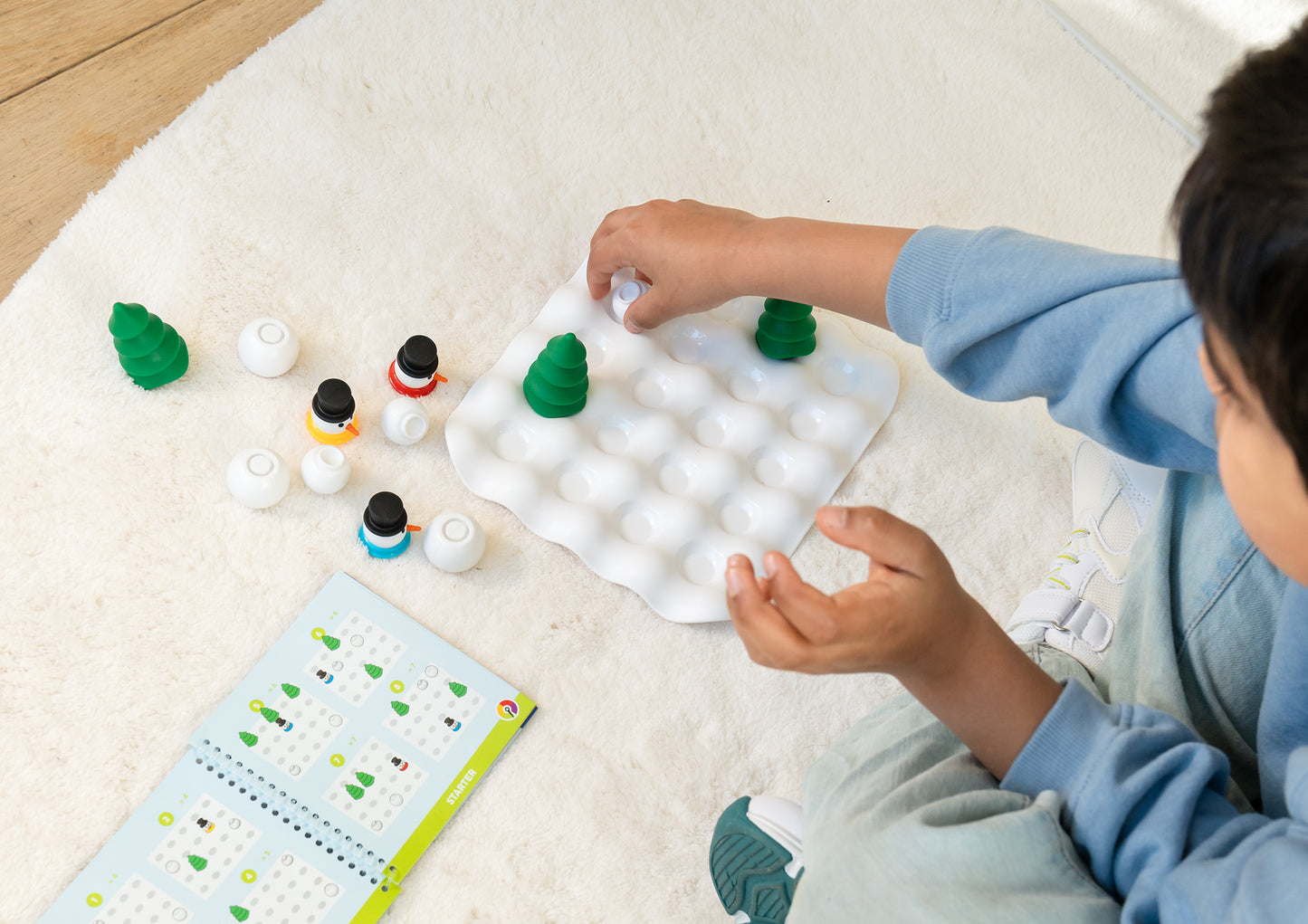 Snow Problem Smart Game