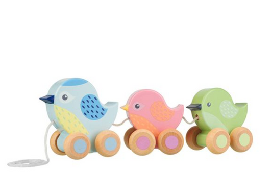 Pull Along Birdies