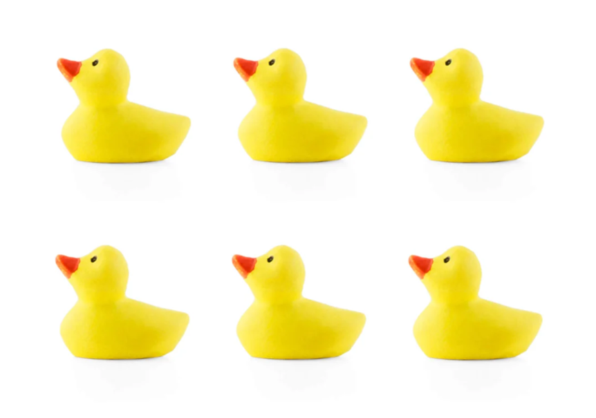 Rubber Duck Magnets