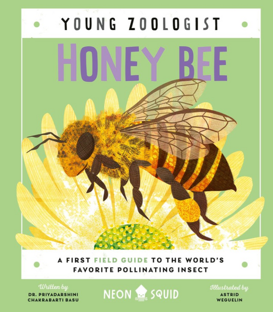 Young Zoologist Honey Bee