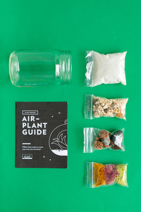 Airplant Terrarium Kit Jar