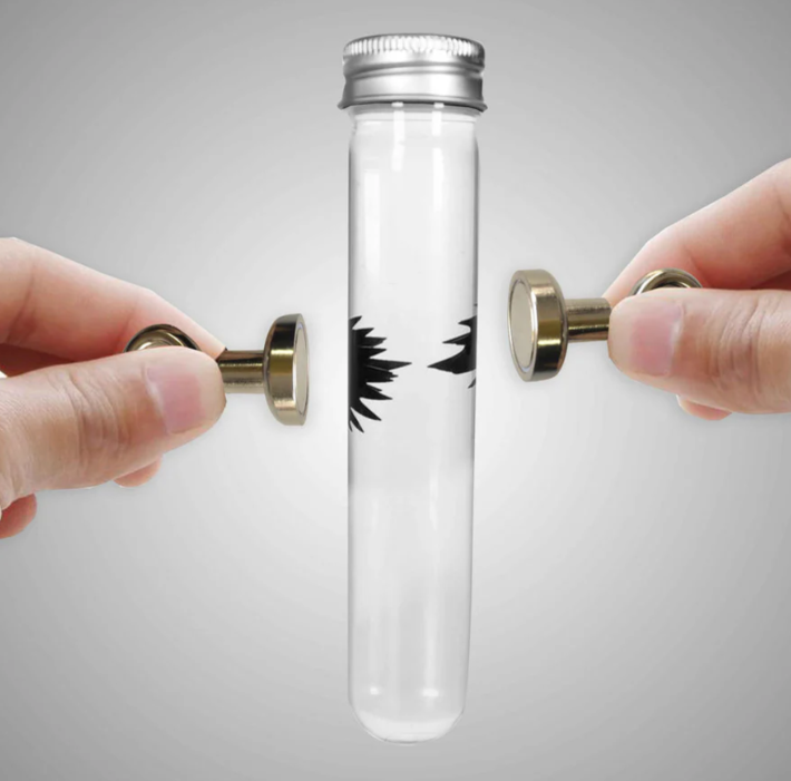 Ferromagnetic Test Tube