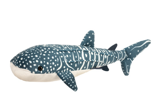 Decker Whale Shark