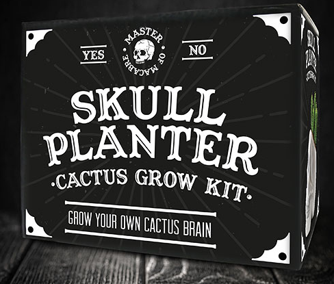 Skull Planter