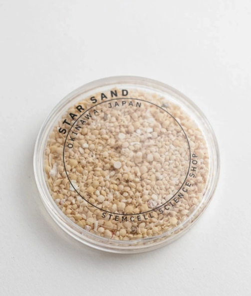 Japanese Star Sand