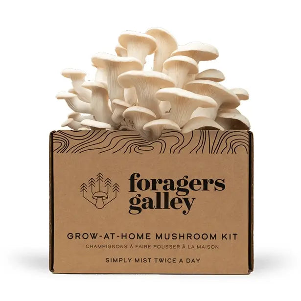 Snow Oyster Mushroom Grow Kit