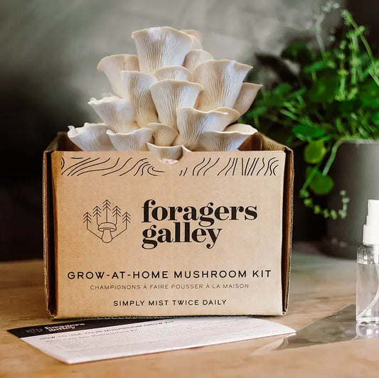 Snow Oyster Mushroom Grow Kit