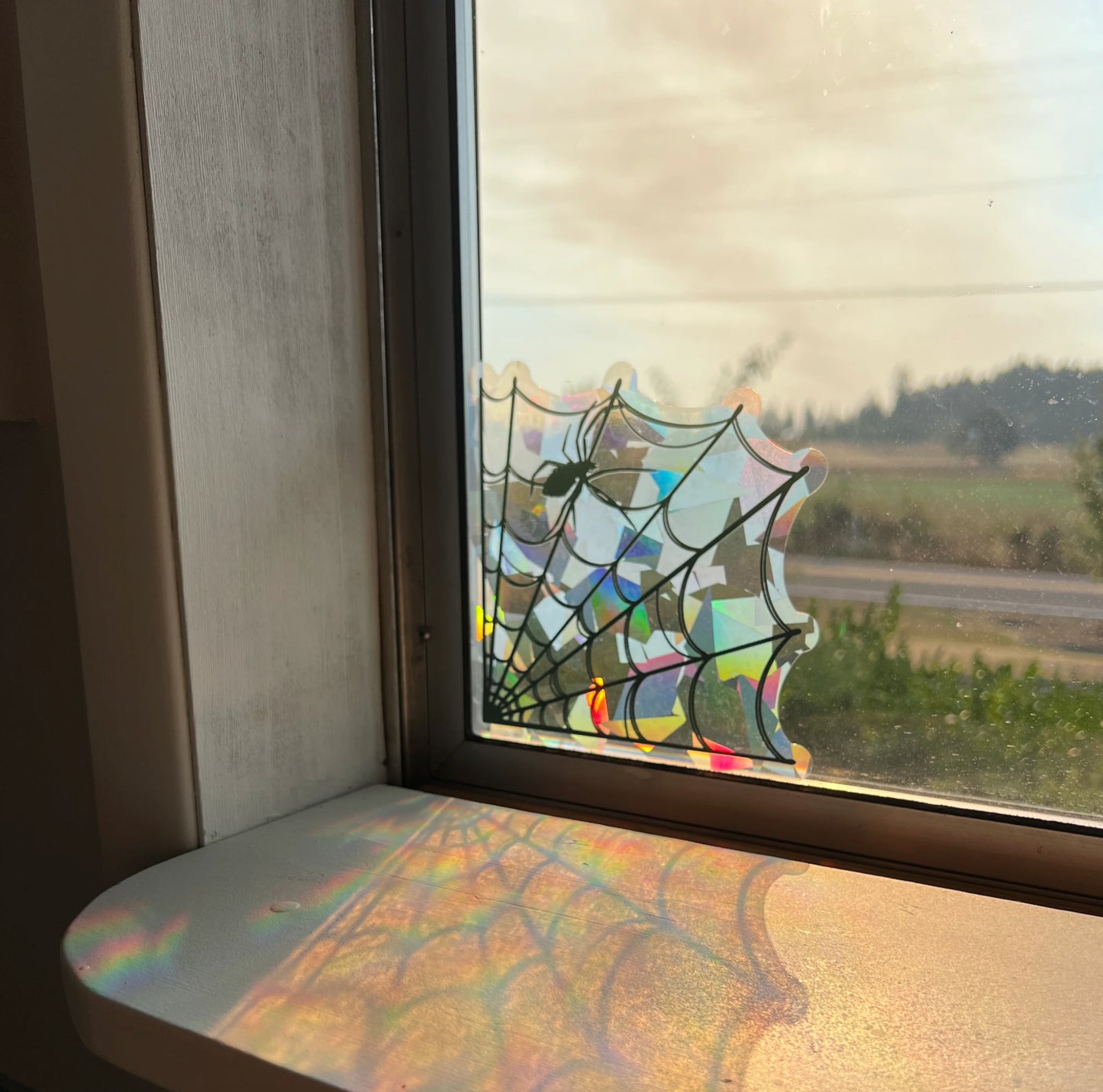 Spiderweb Suncatcher