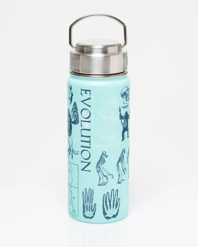 Human Evolution Steel Bottle