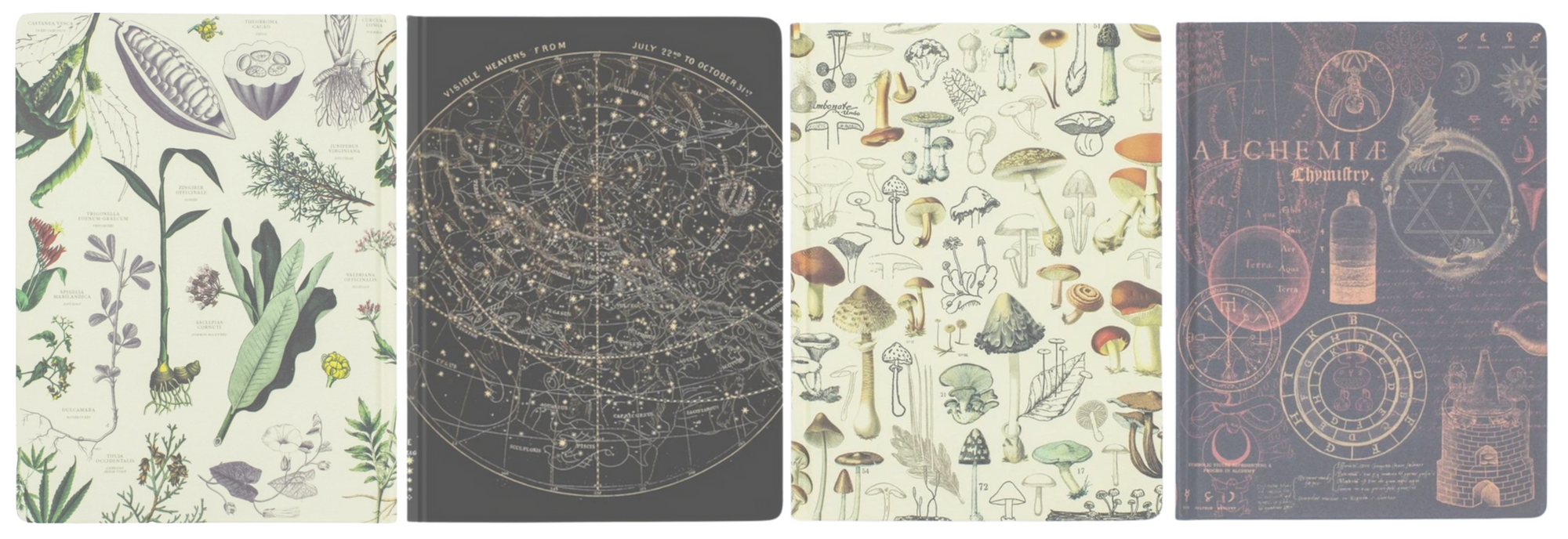 TELUS Spark science centre Calgary Spark Science Store YYC