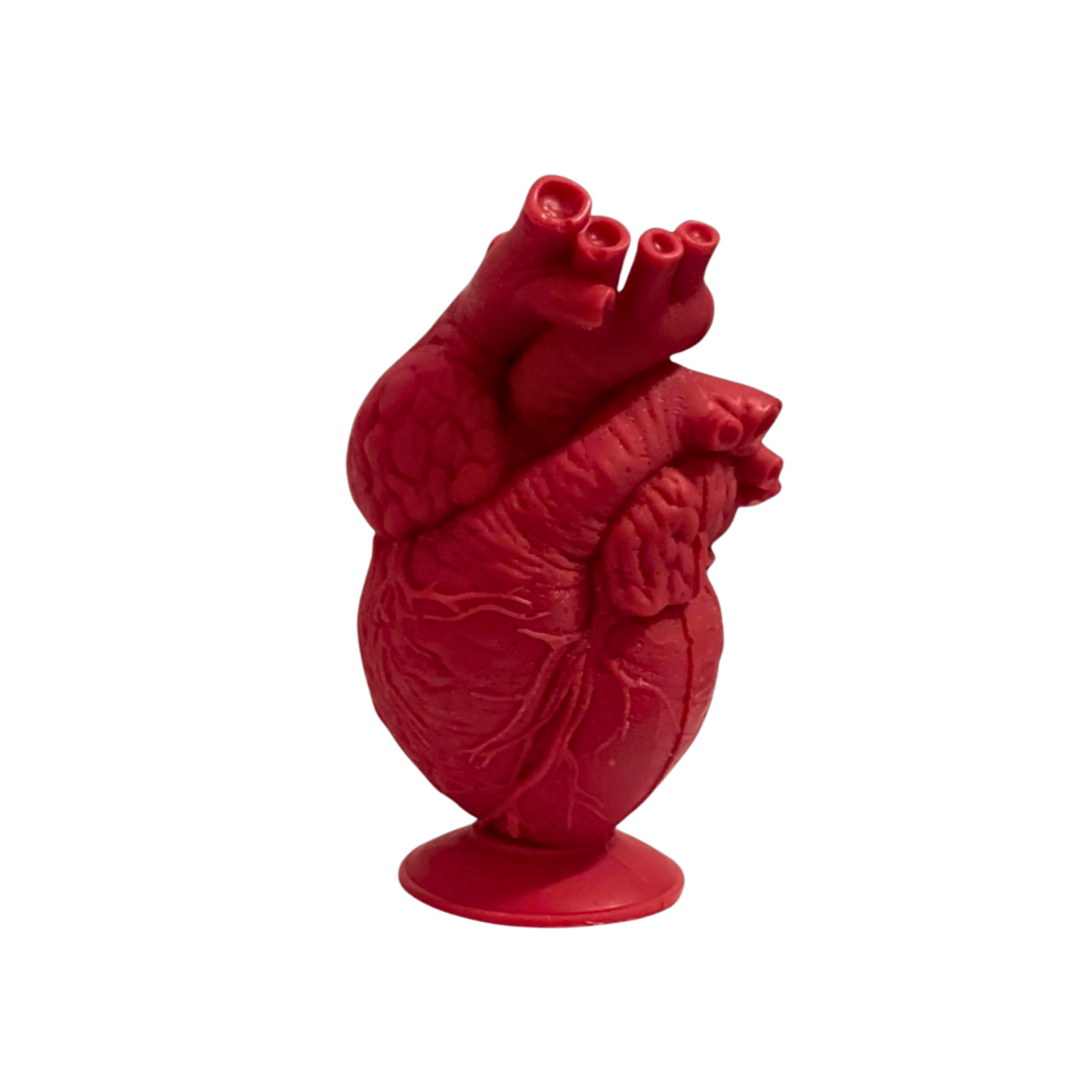 Red Anatomical Heart Candle