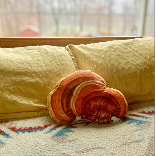Reishi Mushroom Pillow