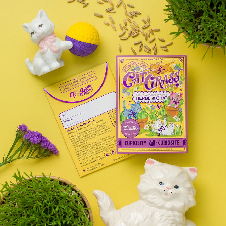 Cat Grass Seed Packet