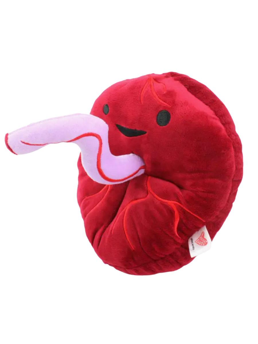 Anatomical Placenta Plush